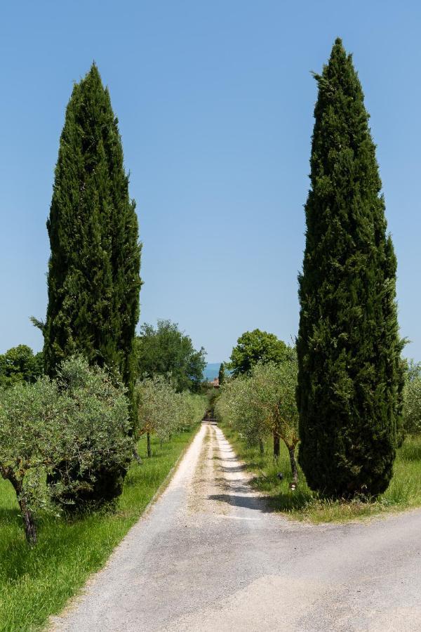 Villa Il Rossignolo Grassina Eksteriør bilde