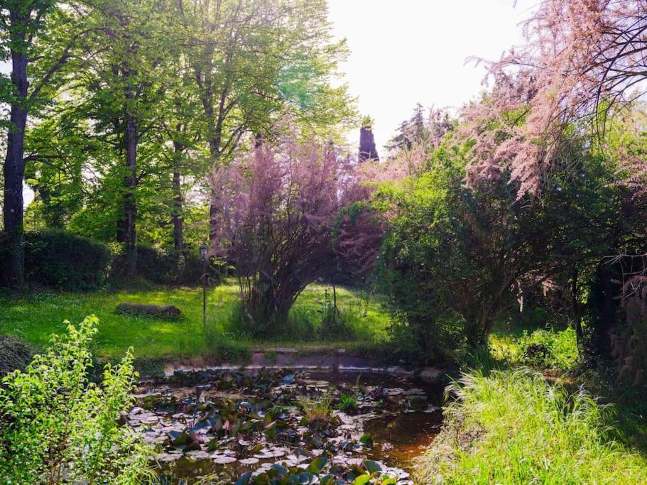 Villa Il Rossignolo Grassina Eksteriør bilde
